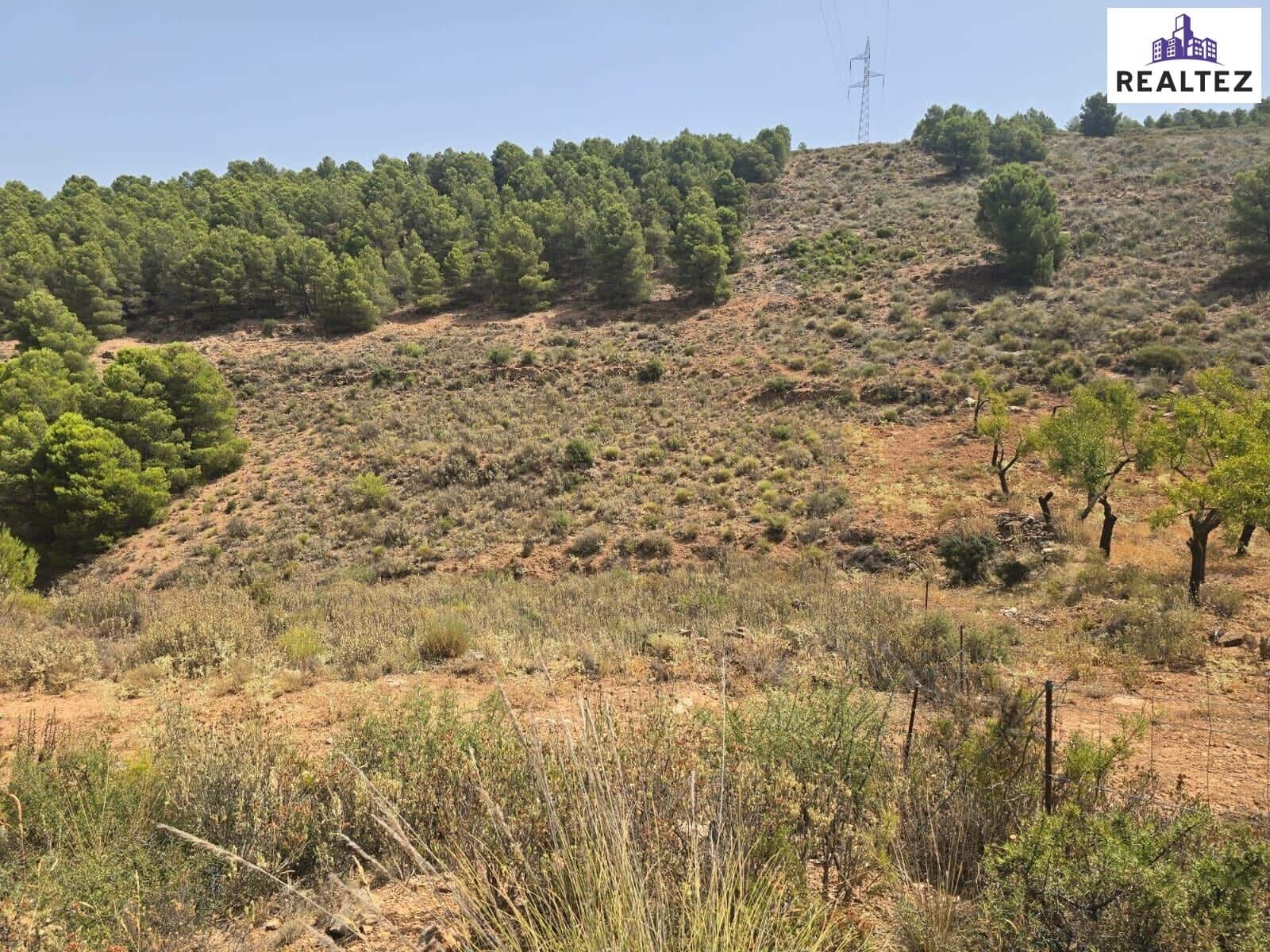 Teren niezagospodarowany na sprzedaż w Alcolea - 69 900 € (Ref: 9338687)