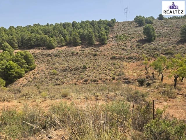 Undeveloped Land for sale in Alcolea - € 69,900 (Ref: 9338687)