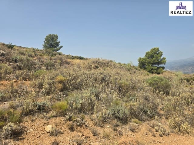 Teren niezagospodarowany na sprzedaż w Alcolea - 69 900 € (Ref: 9338688)