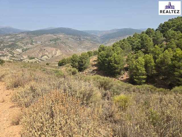 Teren niezagospodarowany na sprzedaż w Alcolea - 69 900 € (Ref: 9338688)