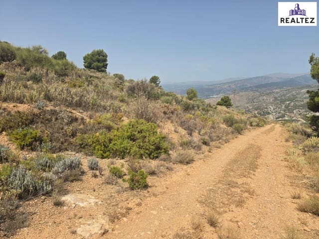 Teren niezagospodarowany na sprzedaż w Alcolea - 69 900 € (Ref: 9338688)