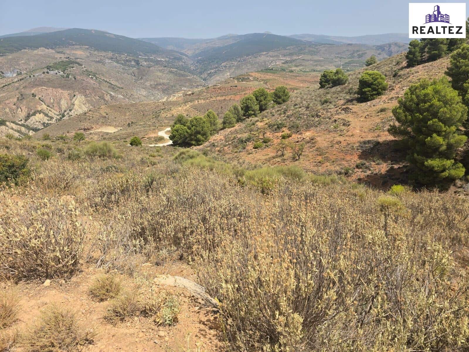 Rakentamaton maa myytävänä paikassa Alcolea - 69 900 € (Ref: 9338688)
