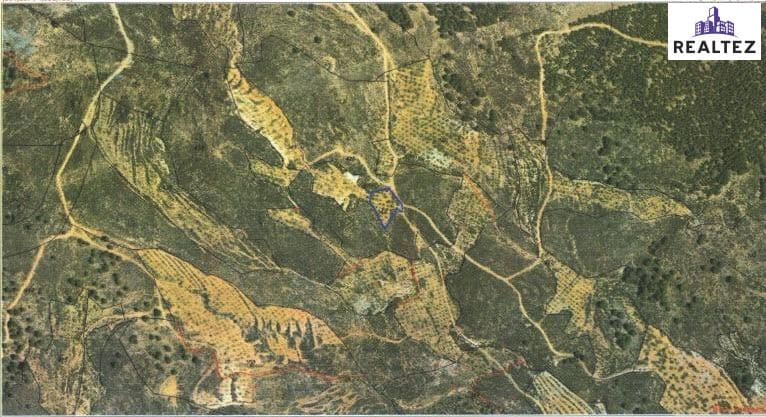 Teren niezagospodarowany na sprzedaż w Alcolea - 7 500 € (Ref: 9338689)