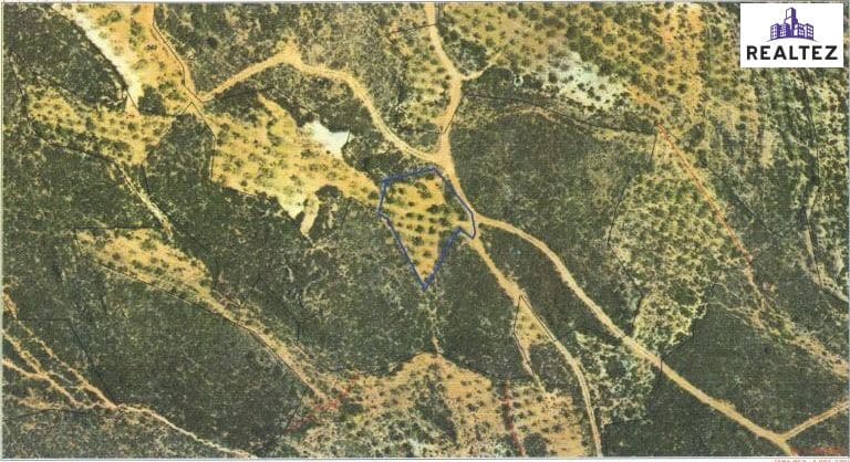 Teren niezagospodarowany na sprzedaż w Alcolea - 7 500 € (Ref: 9338689)