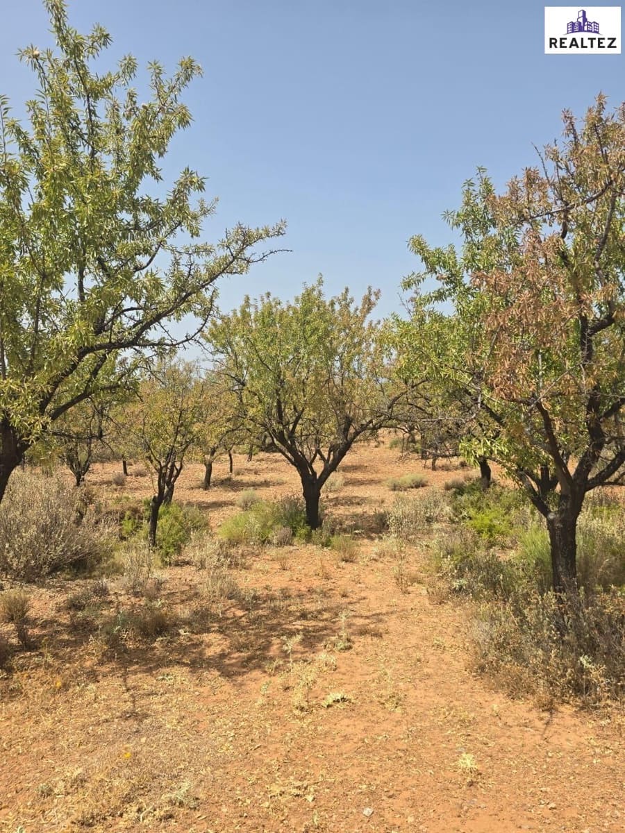 Teren niezagospodarowany na sprzedaż w Alcolea - 7 500 € (Ref: 9338689)