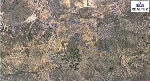 Teren niezagospodarowany na sprzedaż w Alcolea - 59 900 € (Ref: 9338690)