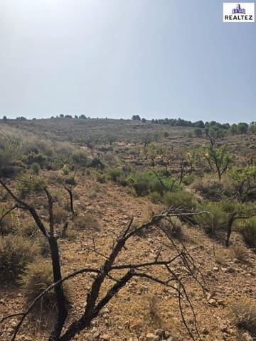 Teren niezagospodarowany na sprzedaż w Alcolea - 59 900 € (Ref: 9338690)