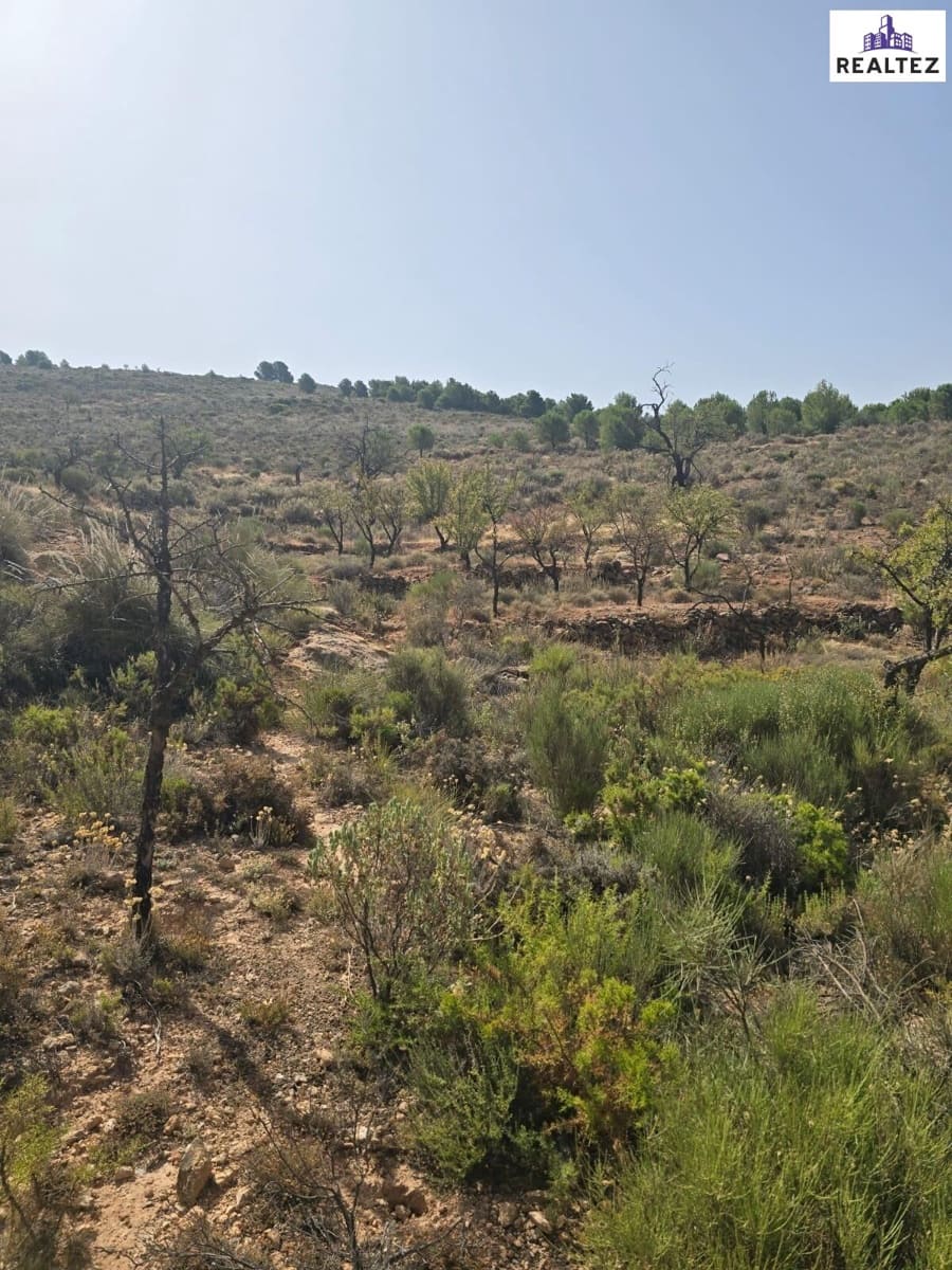 Rakentamaton maa myytävänä paikassa Alcolea - 59 900 € (Ref: 9338690)