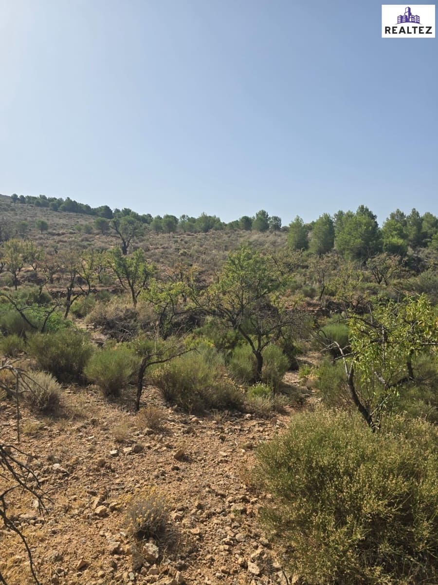 Rakentamaton maa myytävänä paikassa Alcolea - 59 900 € (Ref: 9338690)