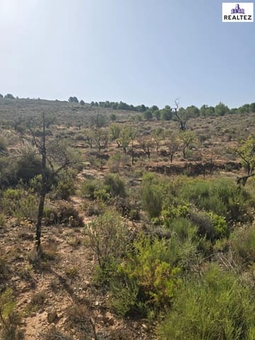 Teren niezagospodarowany na sprzedaż w Alcolea - 59 900 € (Ref: 9338690)