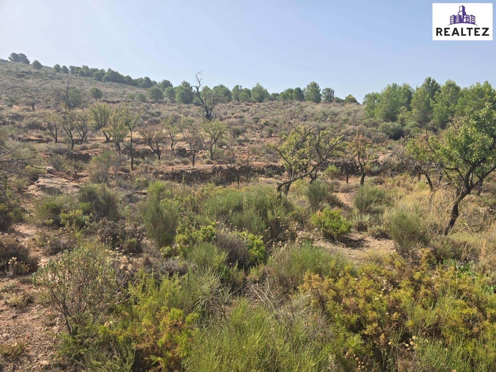 Rakentamaton maa myytävänä paikassa Alcolea - 59 900 € (Ref: 9338690)