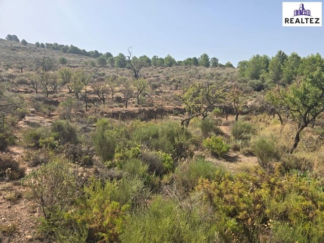 Teren niezagospodarowany na sprzedaż w Alcolea - 59 900 € (Ref: 9338690)