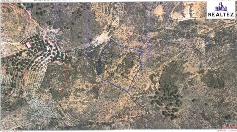 Teren niezagospodarowany na sprzedaż w Alcolea - 29 900 € (Ref: 9338691)