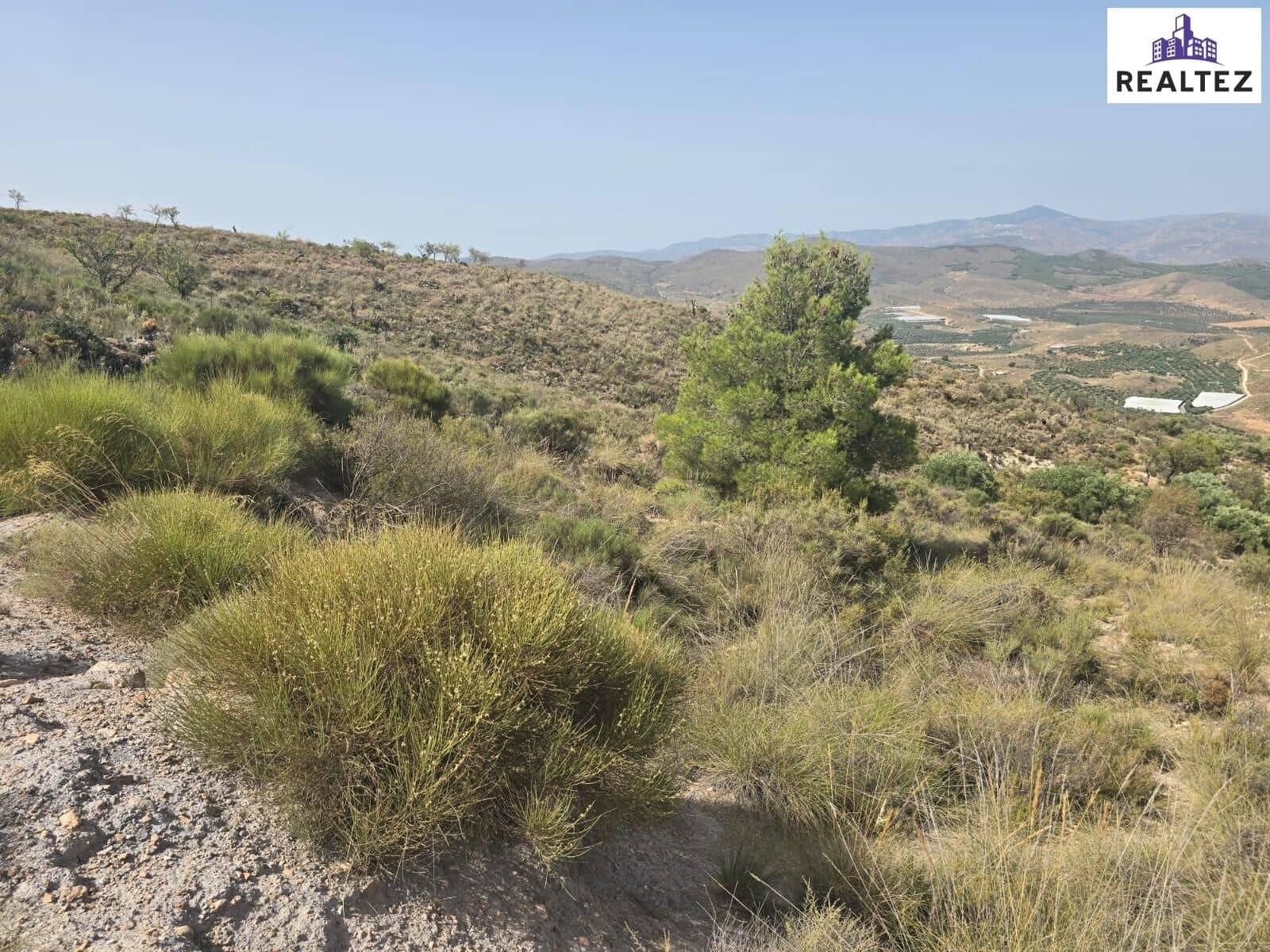 Teren niezagospodarowany na sprzedaż w Alcolea - 29 900 € (Ref: 9338691)