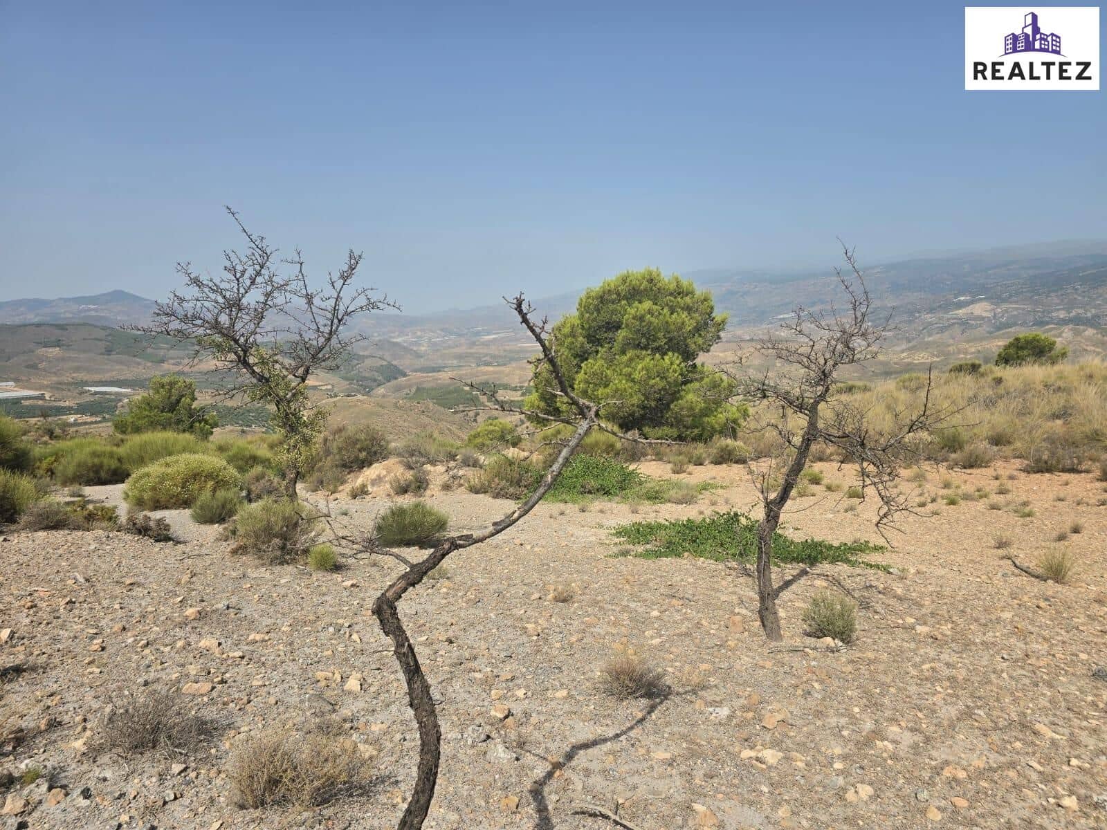 Teren niezagospodarowany na sprzedaż w Alcolea - 29 900 € (Ref: 9338691)