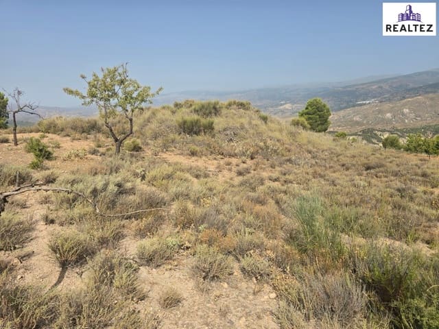 Teren niezagospodarowany na sprzedaż w Alcolea - 29 900 € (Ref: 9338691)