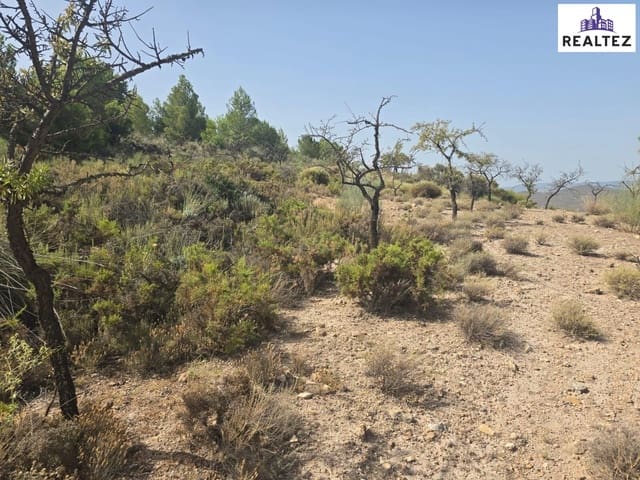 Teren niezagospodarowany na sprzedaż w Alcolea - 29 900 € (Ref: 9338691)