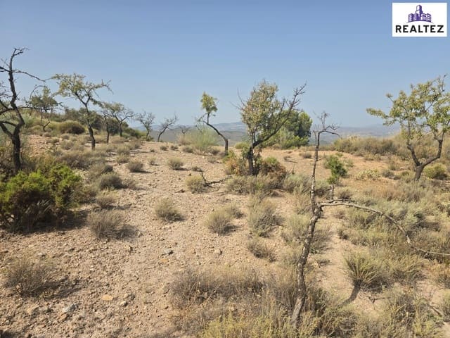 Teren niezagospodarowany na sprzedaż w Alcolea - 29 900 € (Ref: 9338691)