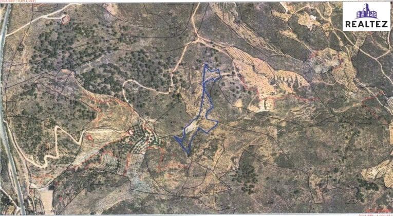 Teren niezagospodarowany na sprzedaż w Alcolea - 25 000 € (Ref: 9338692)