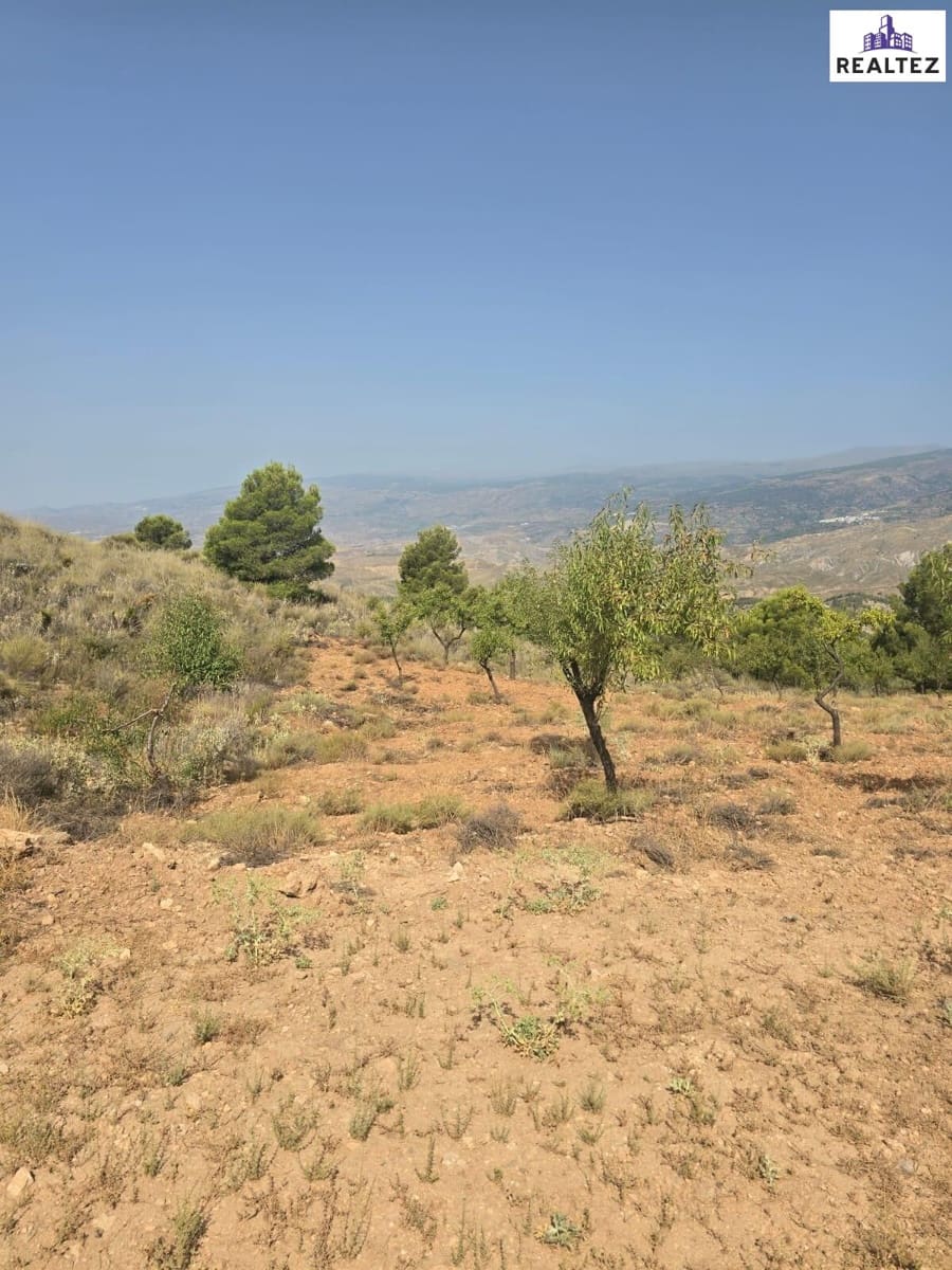 Teren niezagospodarowany na sprzedaż w Alcolea - 25 000 € (Ref: 9338692)