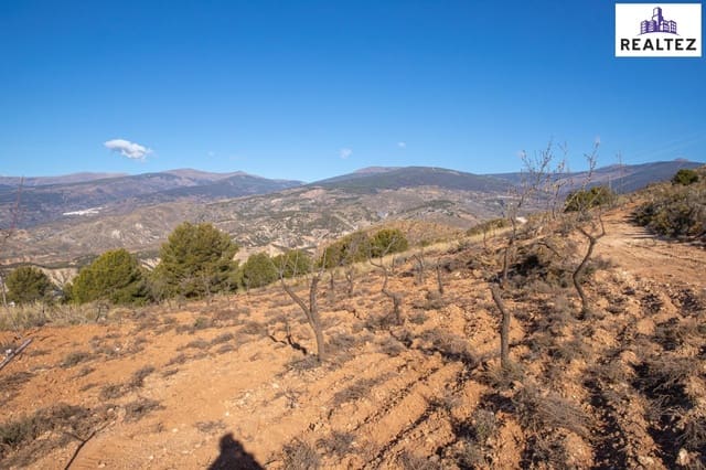 Undeveloped Land for sale in Alcolea - € 154,700 (Ref: 9338693)