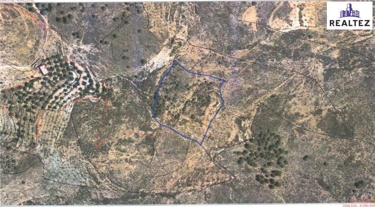 Teren niezagospodarowany na sprzedaż w Alcolea - 154 700 € (Ref: 9338693)