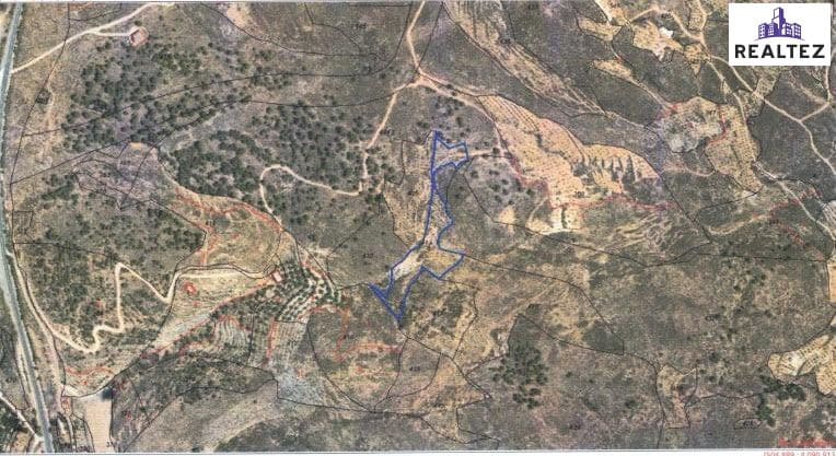 Teren niezagospodarowany na sprzedaż w Alcolea - 154 700 € (Ref: 9338693)