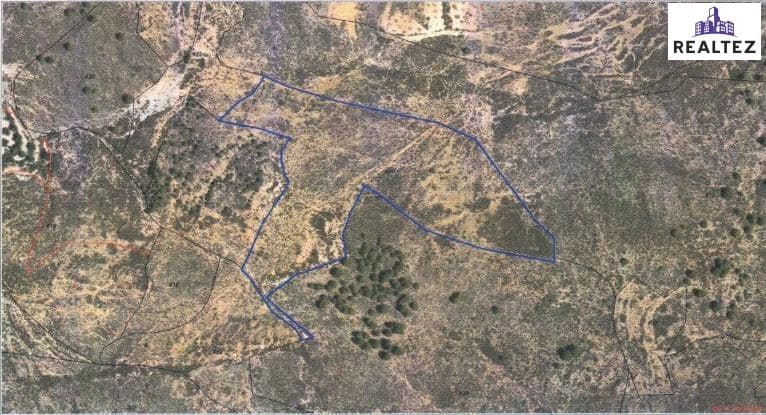 Teren niezagospodarowany na sprzedaż w Alcolea - 154 700 € (Ref: 9338693)