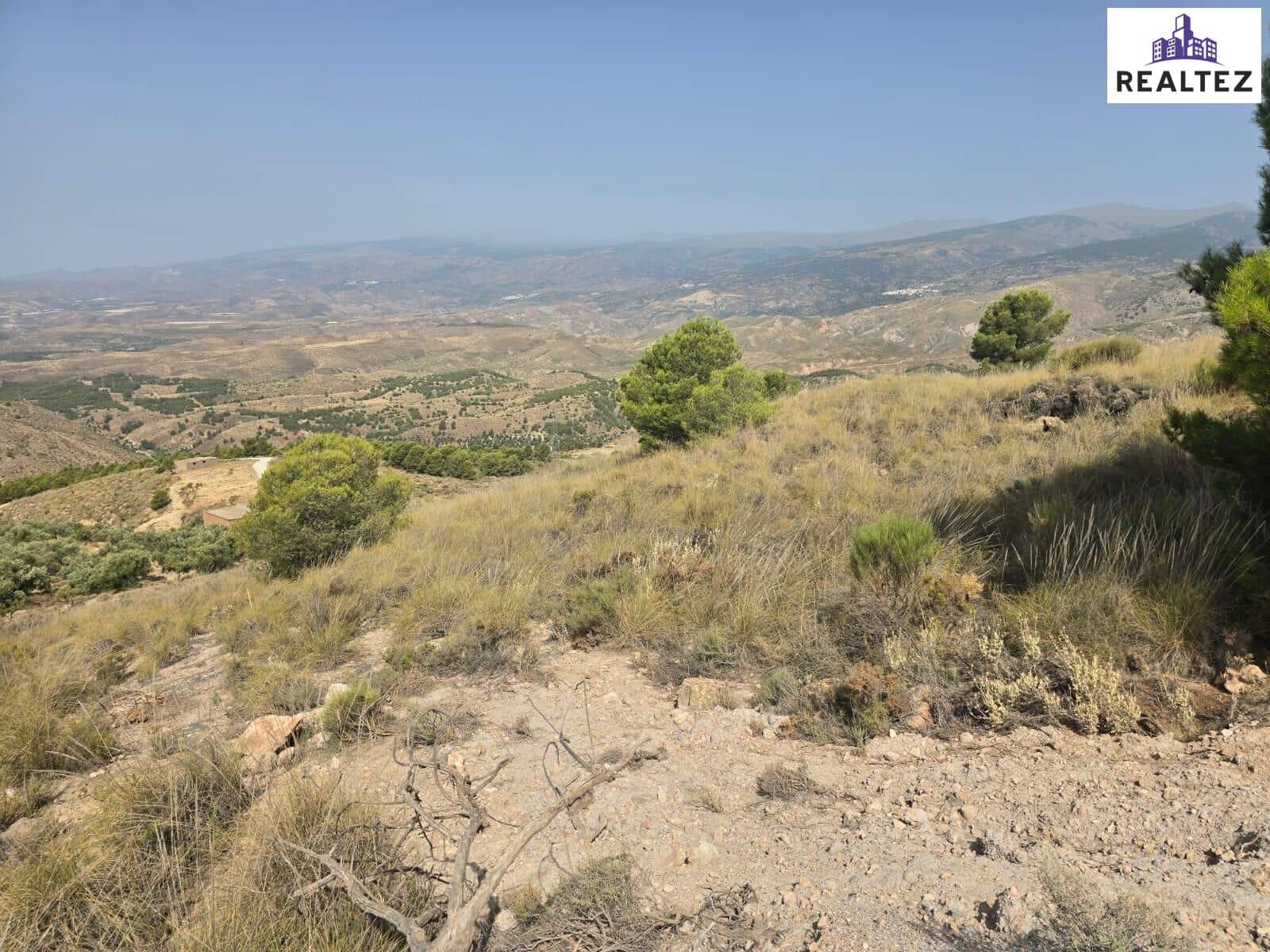 Teren niezagospodarowany na sprzedaż w Alcolea - 154 700 € (Ref: 9338693)