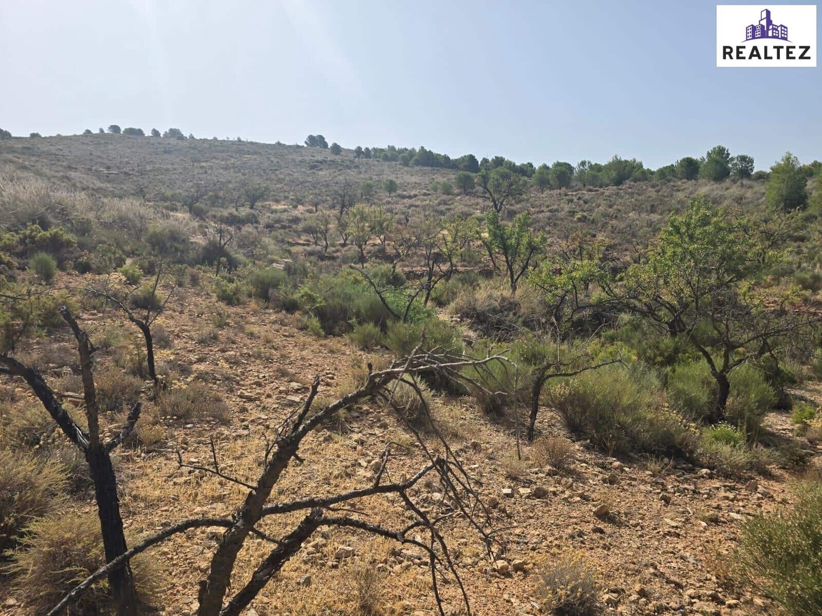 Teren niezagospodarowany na sprzedaż w Alcolea - 154 700 € (Ref: 9338693)