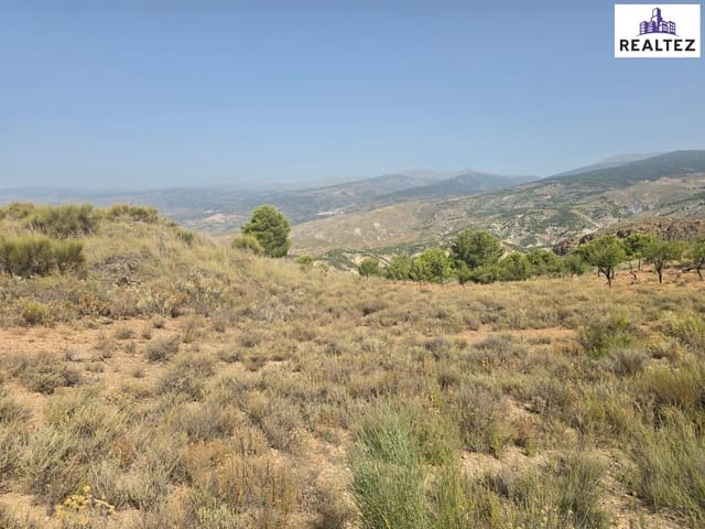 Undeveloped Land for sale in Alcolea - € 154,700 (Ref: 9338693)