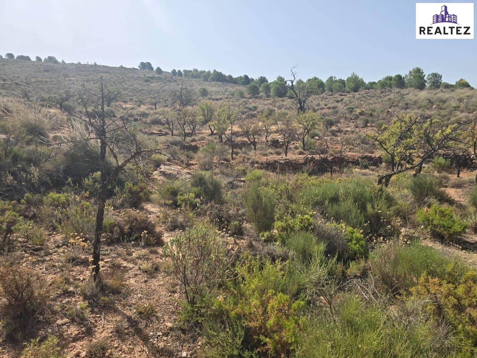 Teren niezagospodarowany na sprzedaż w Alcolea - 154 700 € (Ref: 9338693)