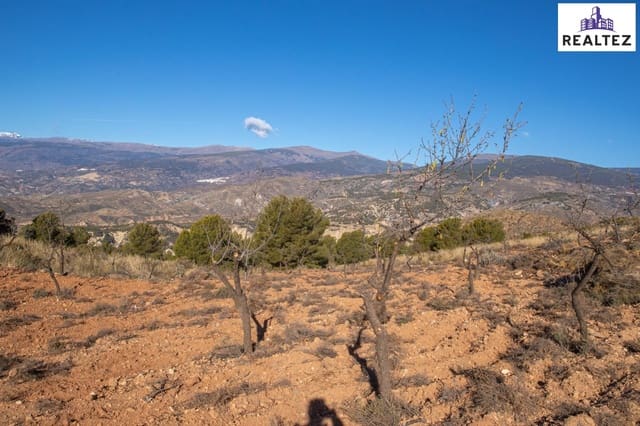 Undeveloped Land for sale in Alcolea - € 154,700 (Ref: 9338693)