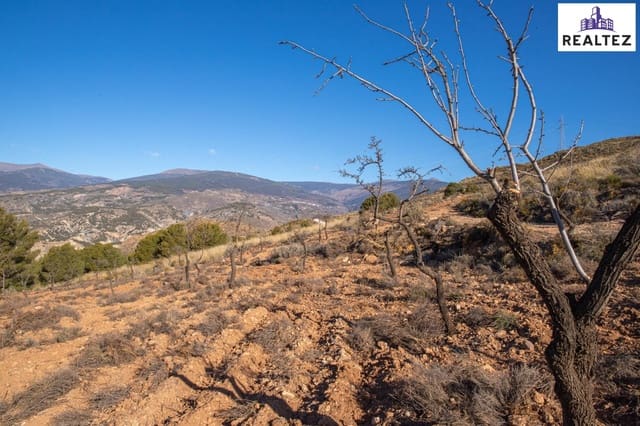 Undeveloped Land for sale in Alcolea - € 154,700 (Ref: 9338693)