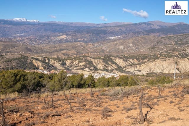 Undeveloped Land for sale in Alcolea - € 154,700 (Ref: 9338693)