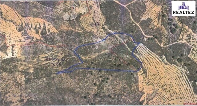 Undeveloped Land for sale in Alcolea - € 49,900 (Ref: 9338694)