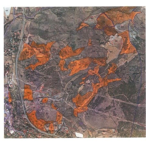 Undeveloped Land for sale in Alcolea - € 49,900 (Ref: 9338694)