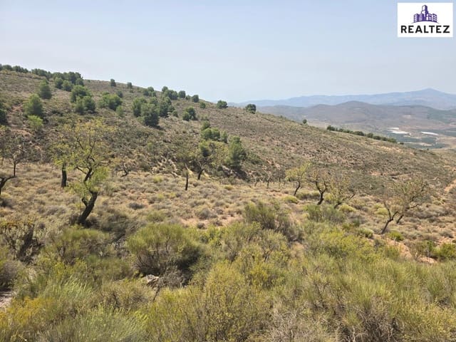 Undeveloped Land for sale in Alcolea - € 49,900 (Ref: 9338694)