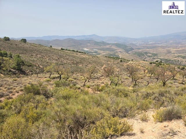 Undeveloped Land for sale in Alcolea - € 49,900 (Ref: 9338694)