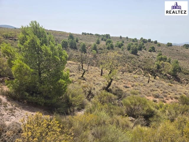Undeveloped Land for sale in Alcolea - € 49,900 (Ref: 9338694)