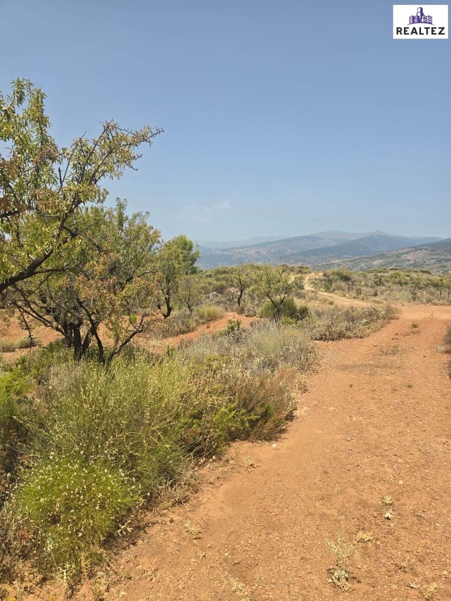 Teren niezagospodarowany na sprzedaż w Alcolea - 99 900 € (Ref: 9338695)
