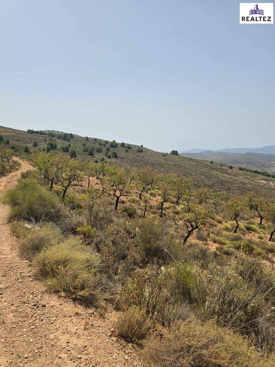 Teren niezagospodarowany na sprzedaż w Alcolea - 99 900 € (Ref: 9338695)