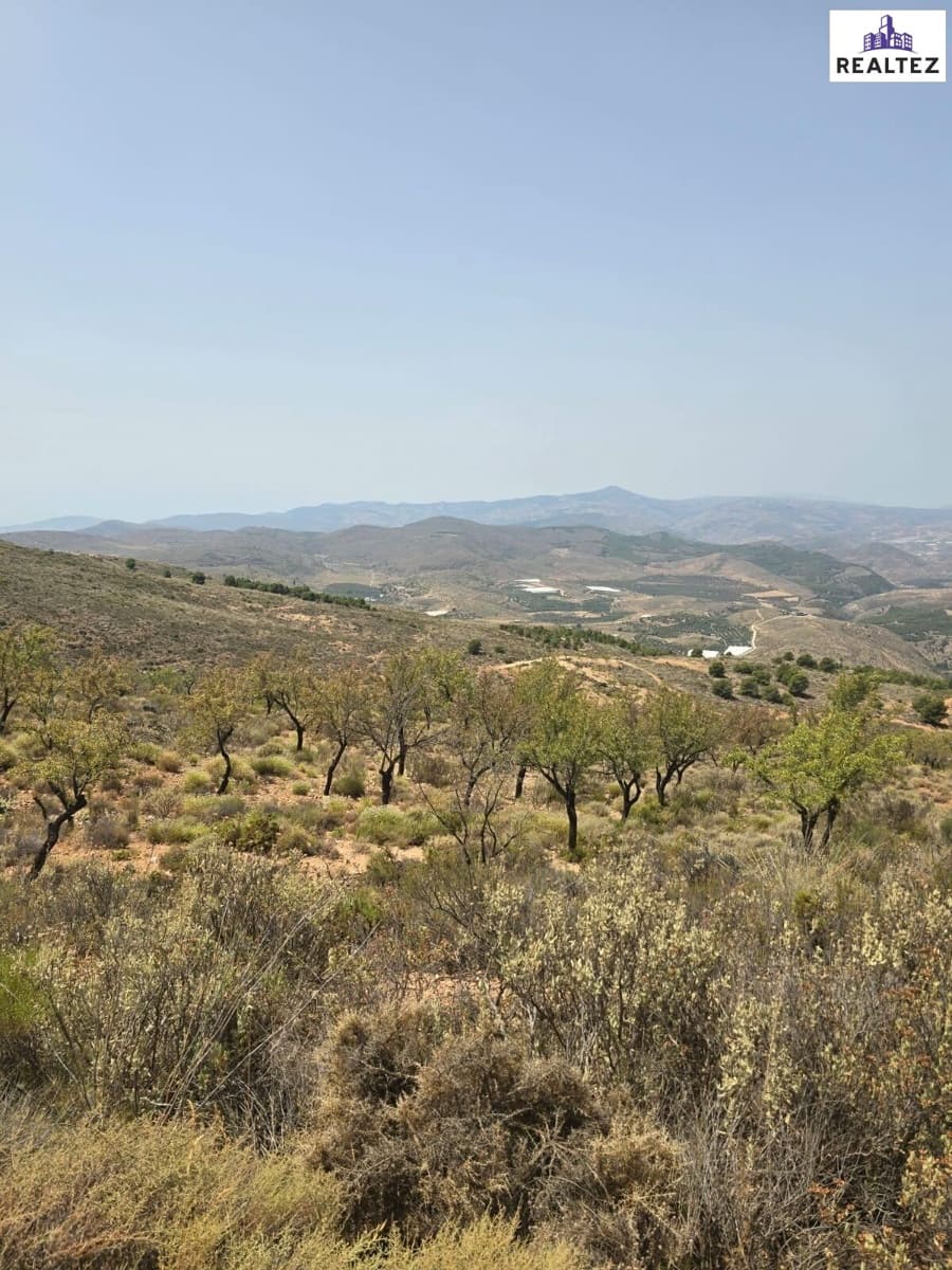 Teren niezagospodarowany na sprzedaż w Alcolea - 99 900 € (Ref: 9338695)