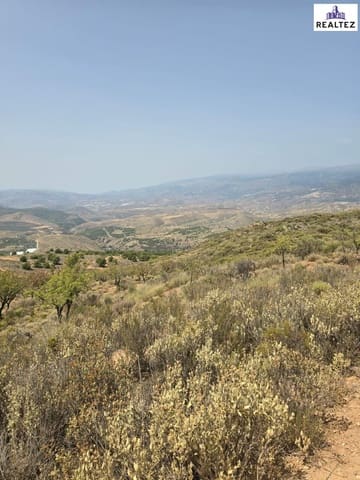 Undeveloped Land for sale in Alcolea - € 99,900 (Ref: 9338695)