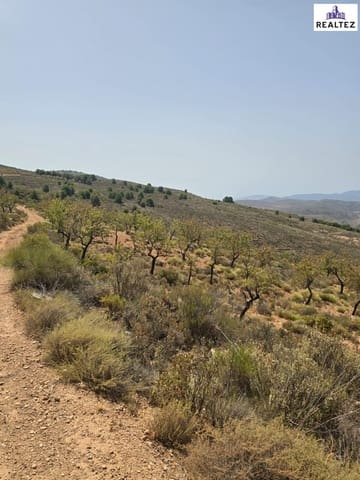 Undeveloped Land for sale in Alcolea - € 99,900 (Ref: 9338695)