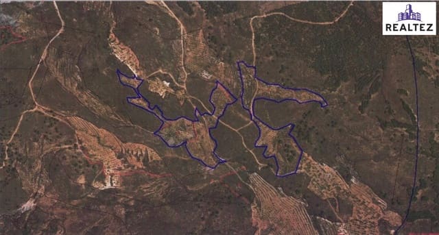 Undeveloped Land for sale in Alcolea - € 99,900 (Ref: 9338695)