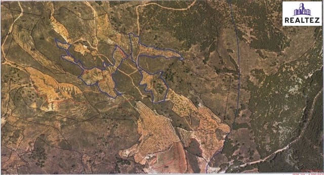 Undeveloped Land for sale in Alcolea - € 99,900 (Ref: 9338695)