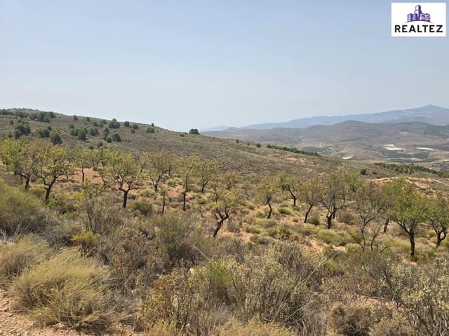 Undeveloped Land for sale in Alcolea - € 99,900 (Ref: 9338695)