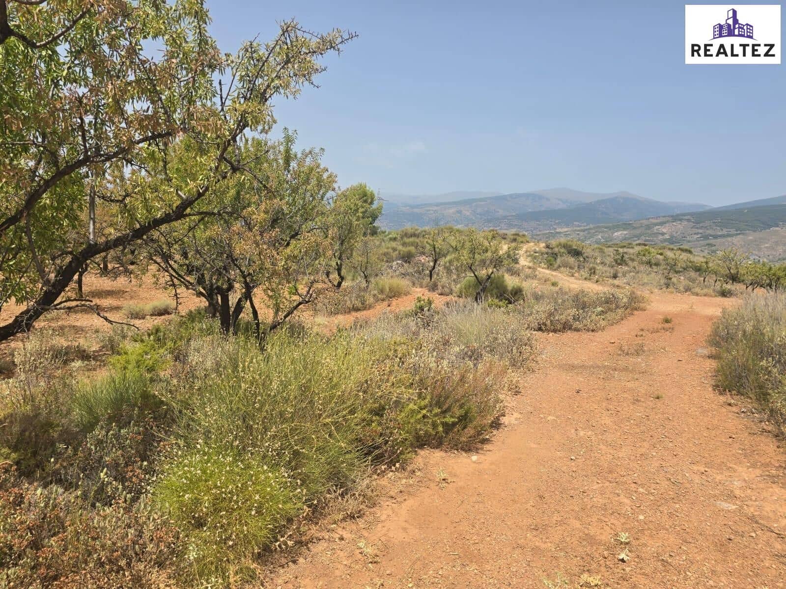 Teren niezagospodarowany na sprzedaż w Alcolea - 99 900 € (Ref: 9338695)