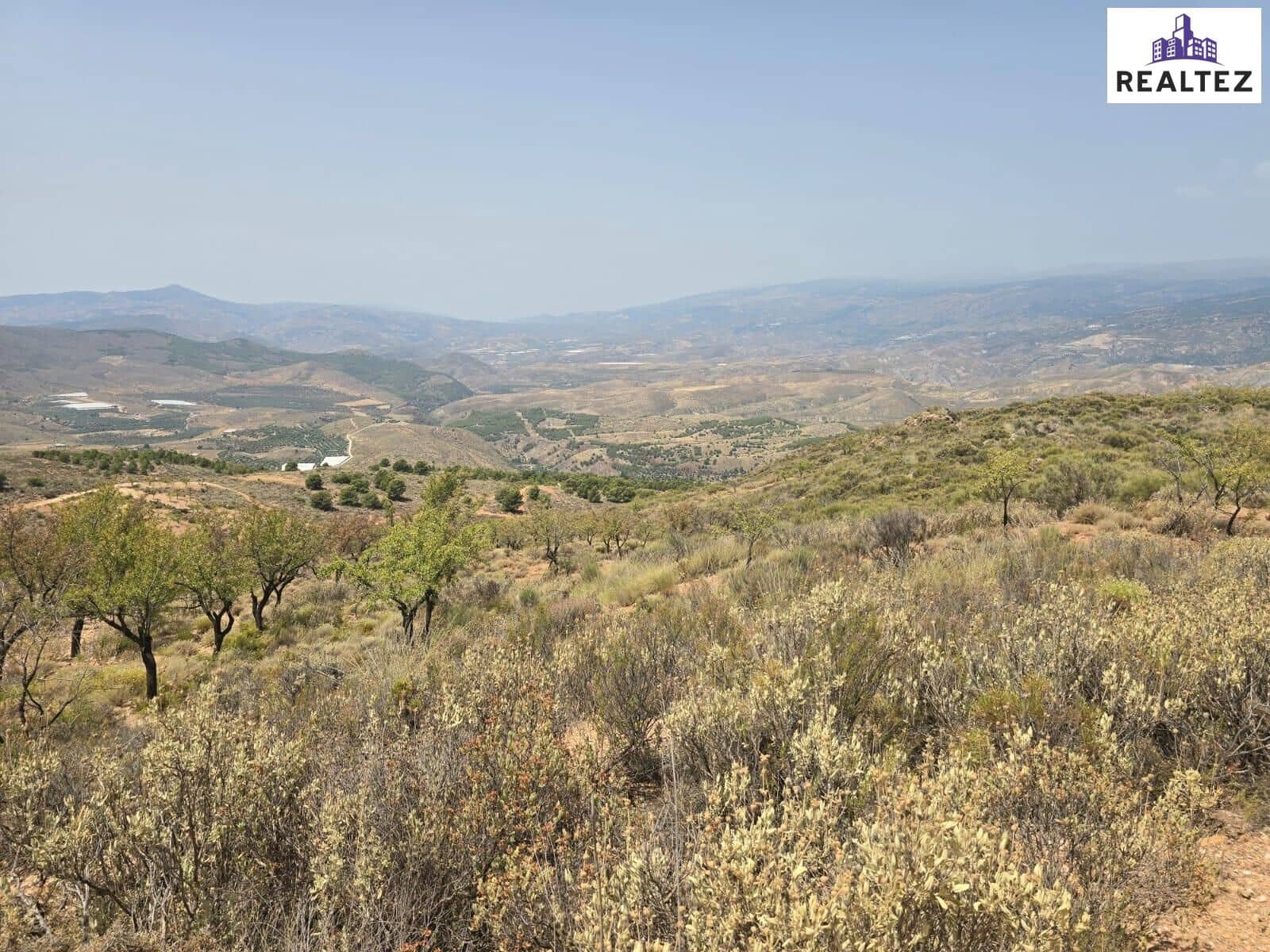 Teren niezagospodarowany na sprzedaż w Alcolea - 99 900 € (Ref: 9338695)